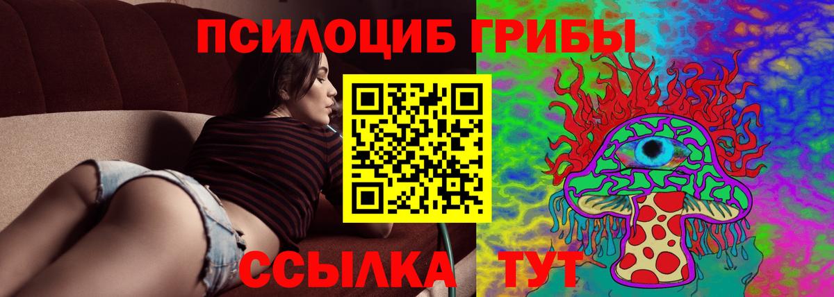 Шали  Псилоцибиновые грибы Psilocybe  Вход с VPN 