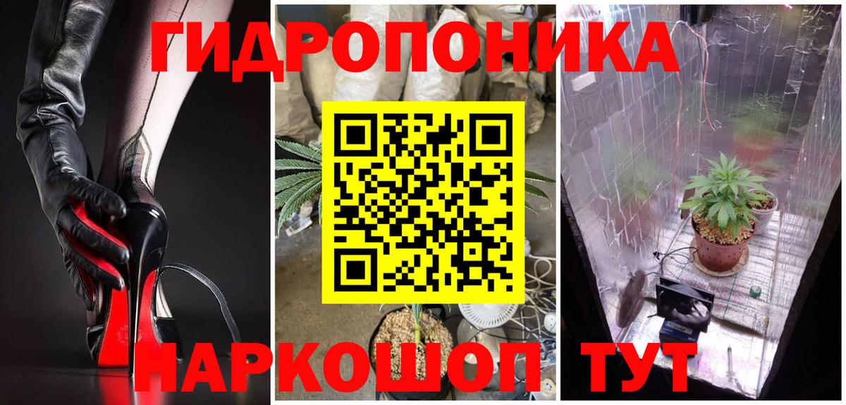 Бошки Шишки семена  Бошки Шишки OG Kush  Шали  Вход с VPN  Конопля план 